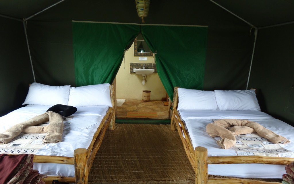 Gorilla trekking uganda
