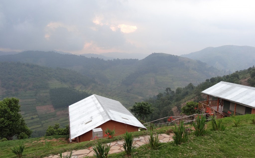 Gorilla trekking uganda