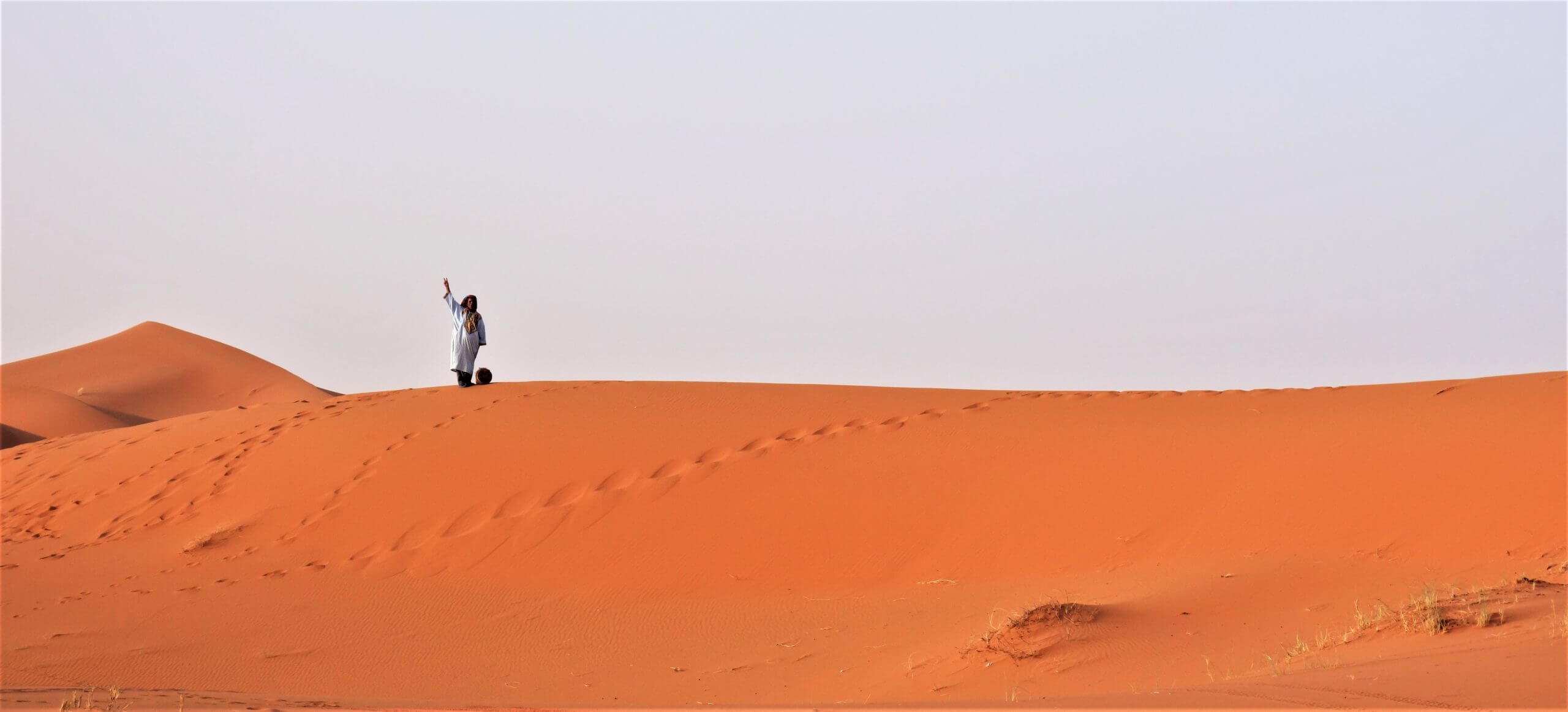 Under Stars In The Sahara