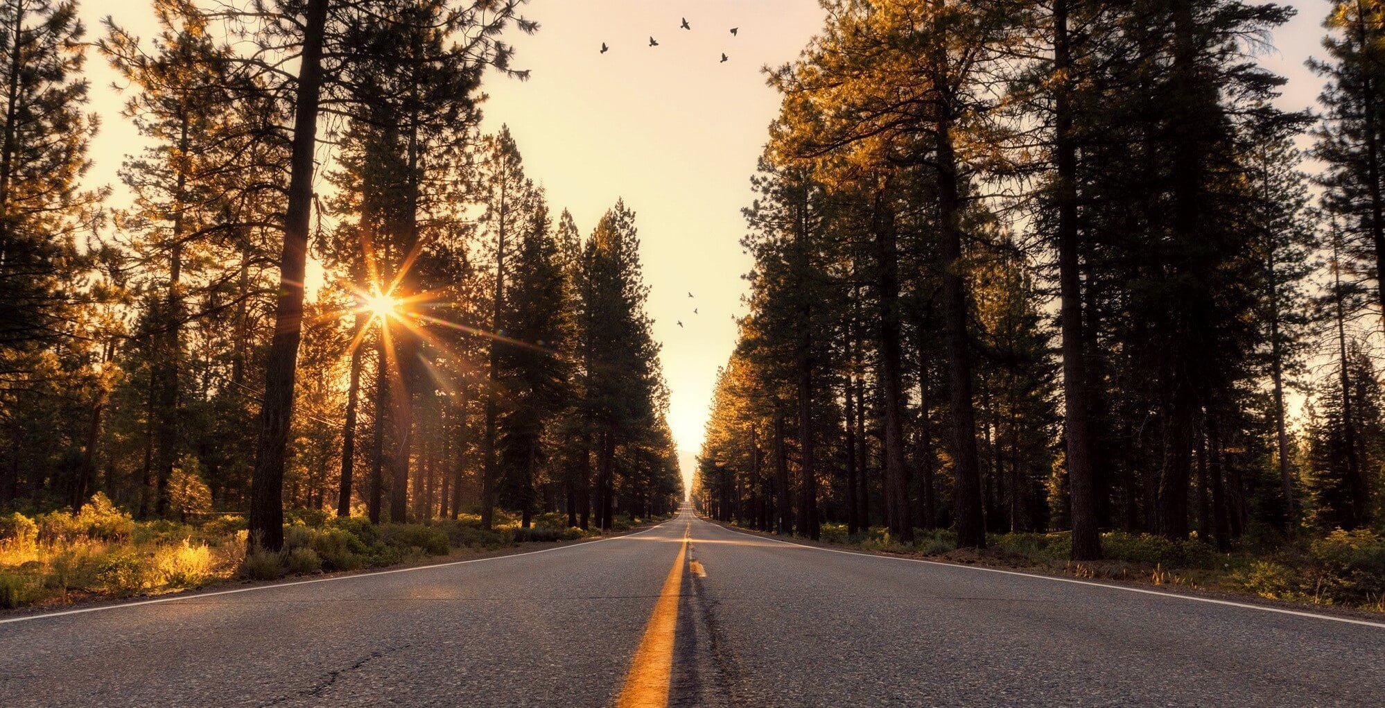 Dreams, Love, Fear & Pride: A Letter To Everyone In Their Twenties (And Beyond)