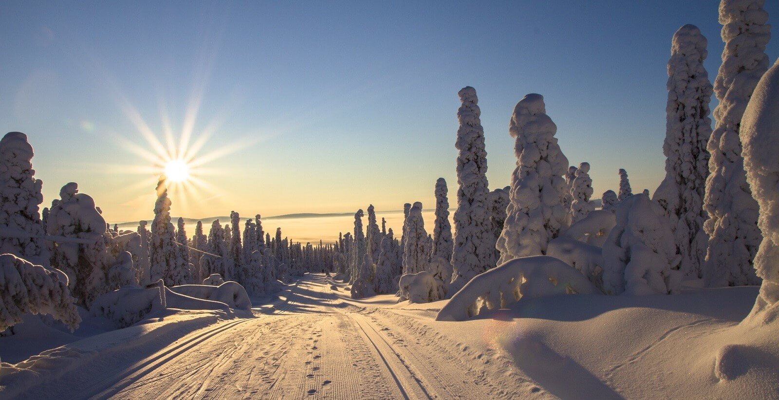 There’s Something About Finland…